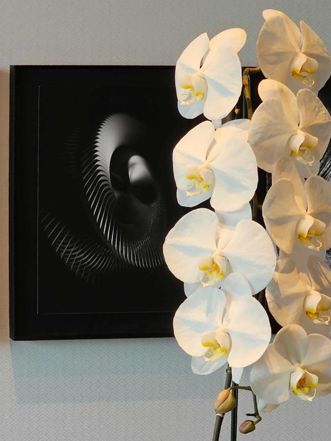 Kamo Residences By Reflections 京都市 エクステリア 写真